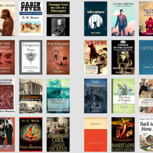 1000 Classic Novels Bundle | Public Domain PLR eBooks Collection